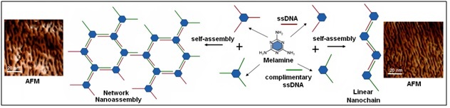 molecules.jpg